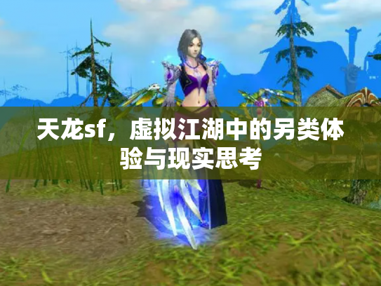 天龙sf，虚拟江湖中的另类体验与现实思考
