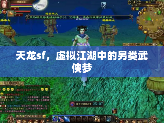 天龙sf，虚拟江湖中的另类武侠梦