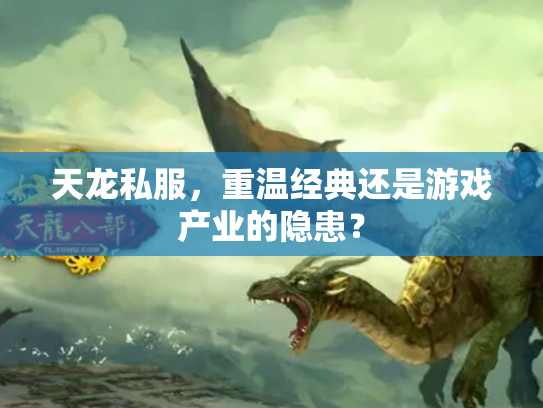 天龙私服，重温经典还是游戏产业的隐患？