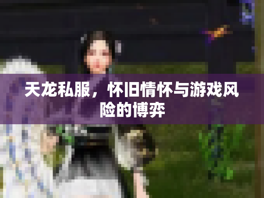 天龙私服，怀旧情怀与游戏风险的博弈
