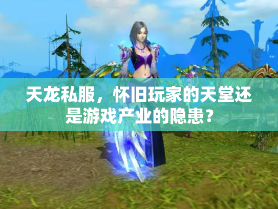 天龙私服，怀旧玩家的天堂还是游戏产业的隐患？