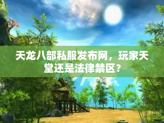 天龙八部私服发布网，玩家天堂还是法律禁区？