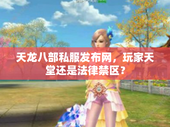 天龙八部私服发布网，玩家天堂还是法律禁区？