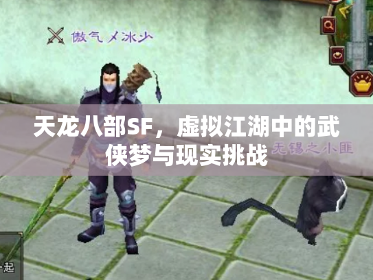 天龙八部SF，虚拟江湖中的武侠梦与现实挑战