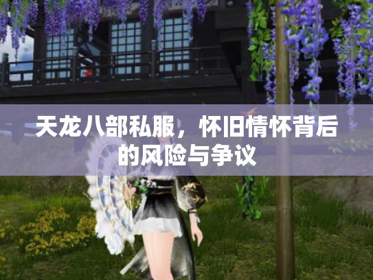 天龙八部私服，怀旧情怀背后的风险与争议