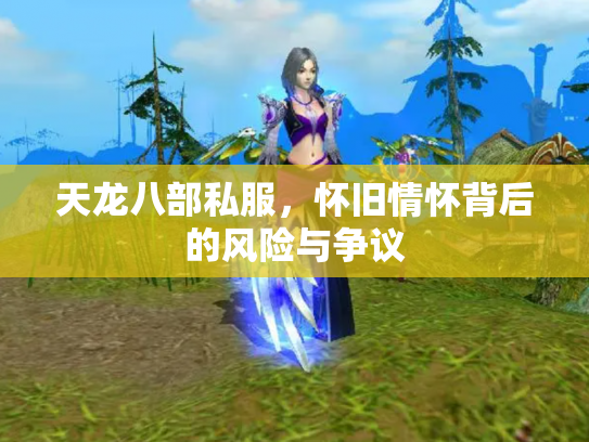 天龙八部私服，怀旧情怀背后的风险与争议