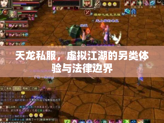 天龙私服，虚拟江湖的另类体验与法律边界
