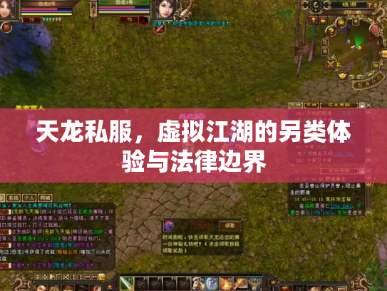 天龙私服，虚拟江湖的另类体验与法律边界