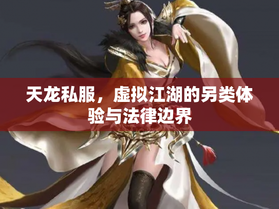 天龙私服，虚拟江湖的另类体验与法律边界
