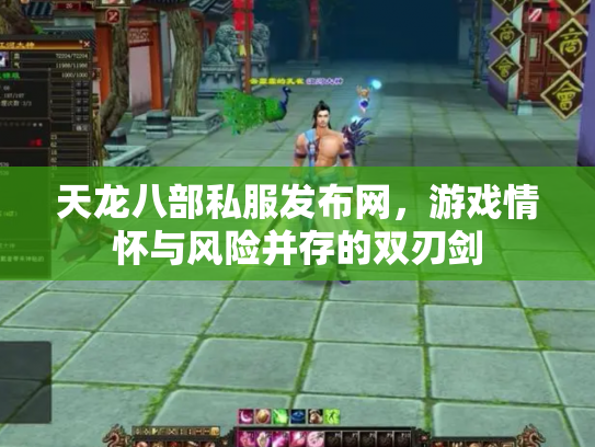 天龙八部私服发布网，游戏情怀与风险并存的双刃剑