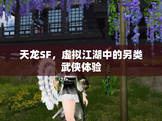 天龙SF，虚拟江湖中的另类武侠体验