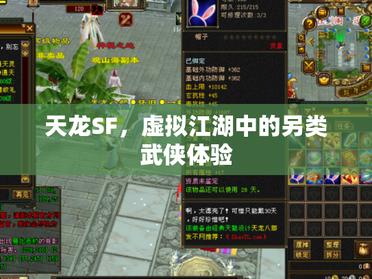 天龙SF，虚拟江湖中的另类武侠体验