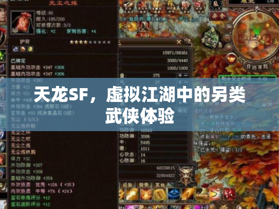 天龙SF，虚拟江湖中的另类武侠体验