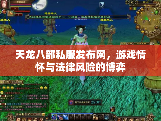 天龙八部私服发布网，游戏情怀与法律风险的博弈