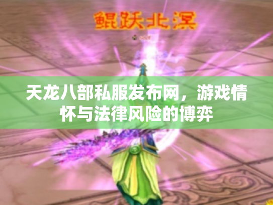 天龙八部私服发布网，游戏情怀与法律风险的博弈