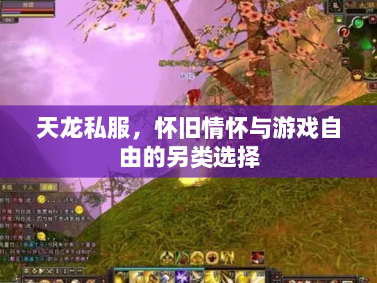 天龙私服，怀旧情怀与游戏自由的另类选择