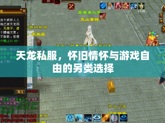 天龙私服，怀旧情怀与游戏自由的另类选择