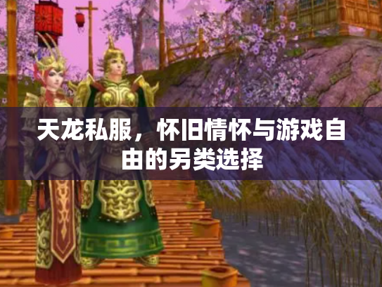 天龙私服，怀旧情怀与游戏自由的另类选择