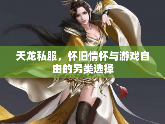 天龙私服，怀旧情怀与游戏自由的另类选择