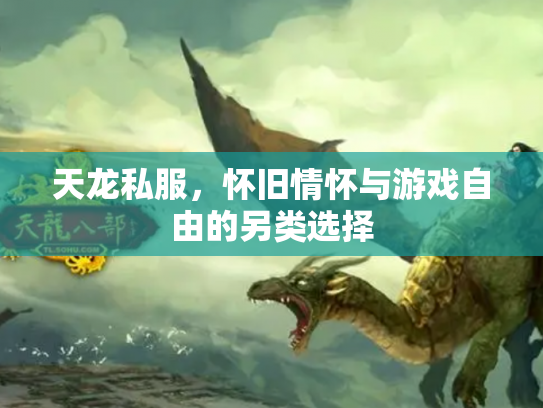 天龙私服，怀旧情怀与游戏自由的另类选择