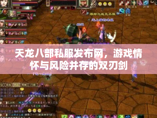 天龙八部私服发布网，游戏情怀与风险并存的双刃剑
