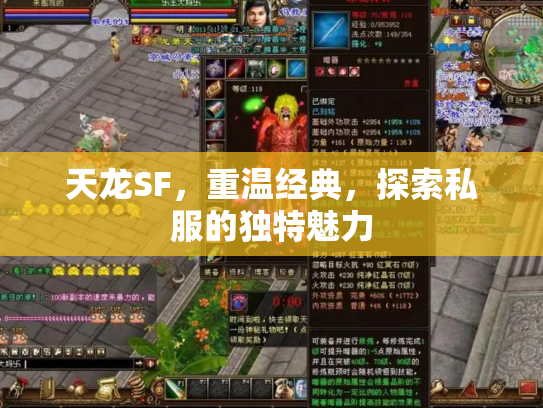 天龙SF，重温经典，探索私服的独特魅力