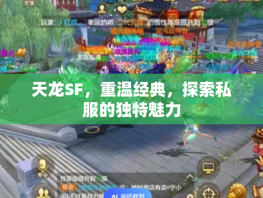 天龙SF，重温经典，探索私服的独特魅力