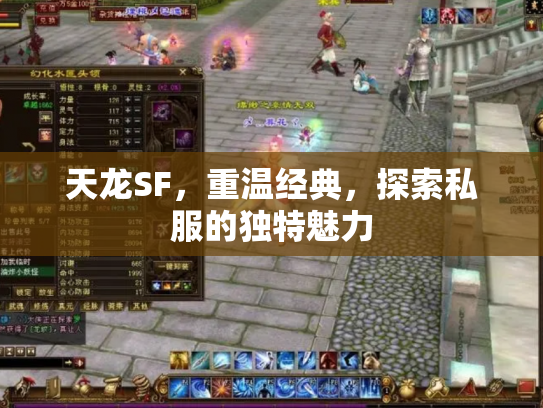 天龙SF，重温经典，探索私服的独特魅力