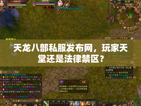 天龙八部私服发布网，玩家天堂还是法律禁区？