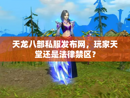 天龙八部私服发布网，玩家天堂还是法律禁区？