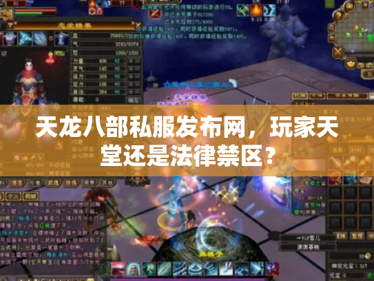 天龙八部私服发布网，玩家天堂还是法律禁区？