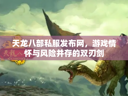 天龙八部私服发布网，游戏情怀与风险并存的双刃剑