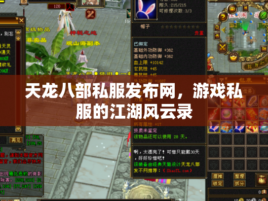 天龙八部私服发布网，游戏私服的江湖风云录