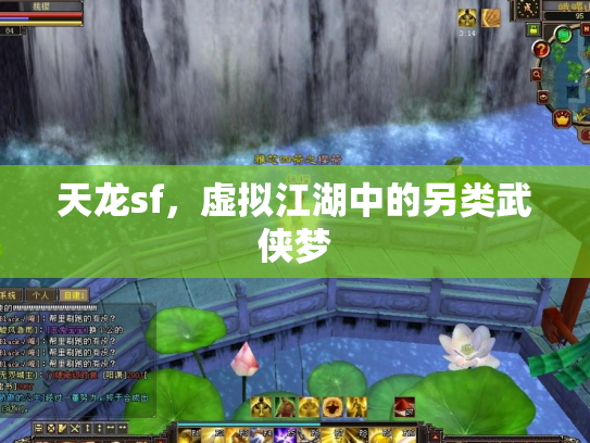 天龙sf，虚拟江湖中的另类武侠梦
