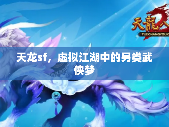 天龙sf，虚拟江湖中的另类武侠梦