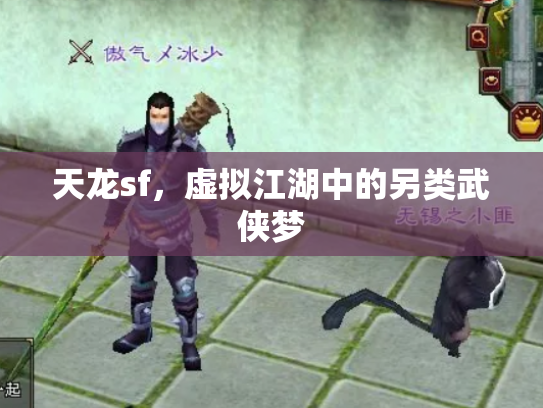 天龙sf，虚拟江湖中的另类武侠梦