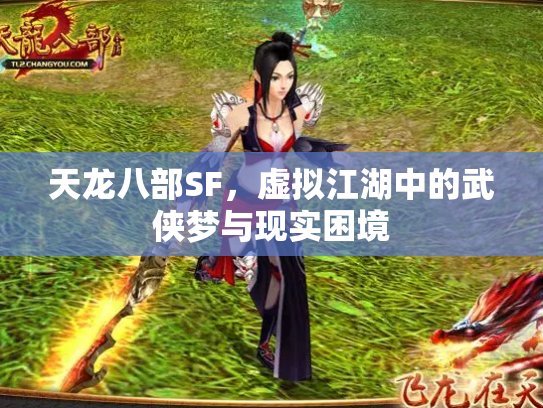 天龙八部SF，虚拟江湖中的武侠梦与现实困境