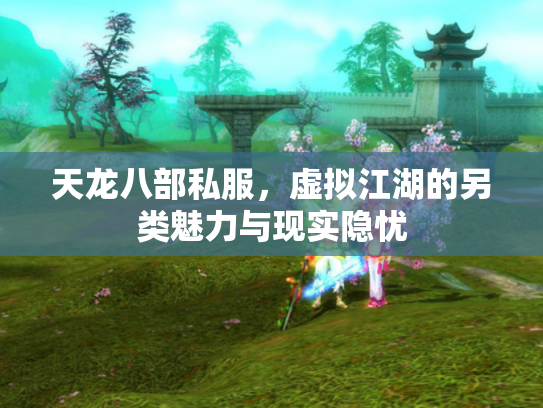 天龙八部私服，虚拟江湖的另类魅力与现实隐忧