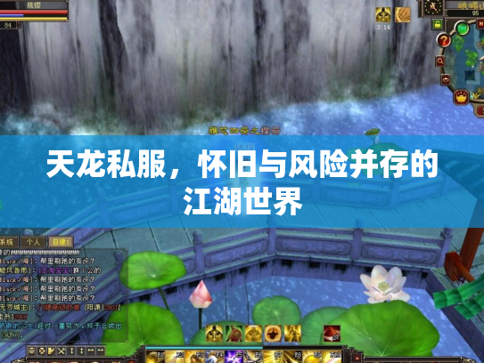 天龙私服，怀旧与风险并存的江湖世界