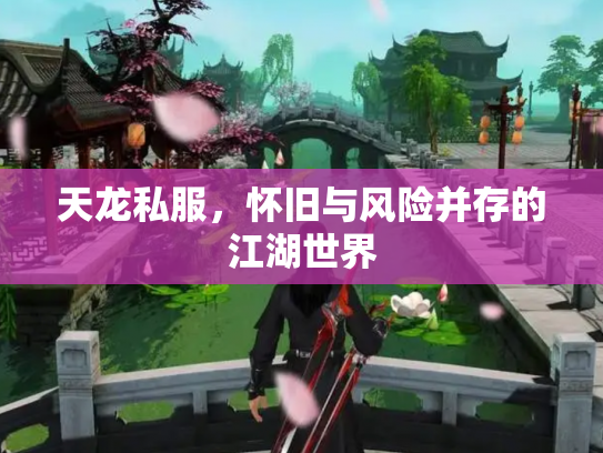 天龙私服，怀旧与风险并存的江湖世界