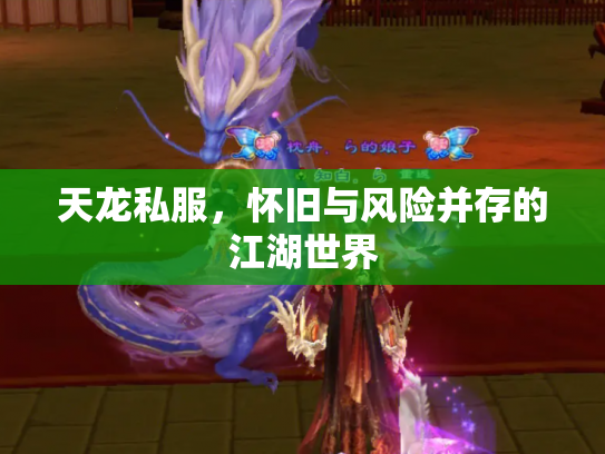 天龙私服，怀旧与风险并存的江湖世界