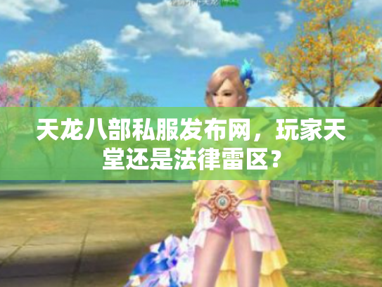 天龙八部私服发布网，玩家天堂还是法律雷区？