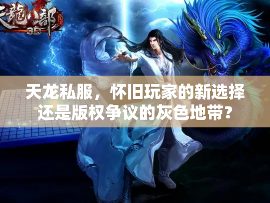 天龙私服，怀旧玩家的新选择还是版权争议的灰色地带？
