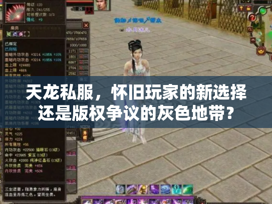 天龙私服，怀旧玩家的新选择还是版权争议的灰色地带？