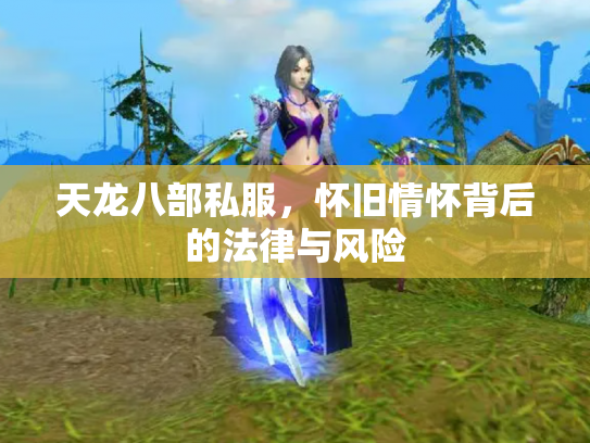 天龙八部私服，怀旧情怀背后的法律与风险