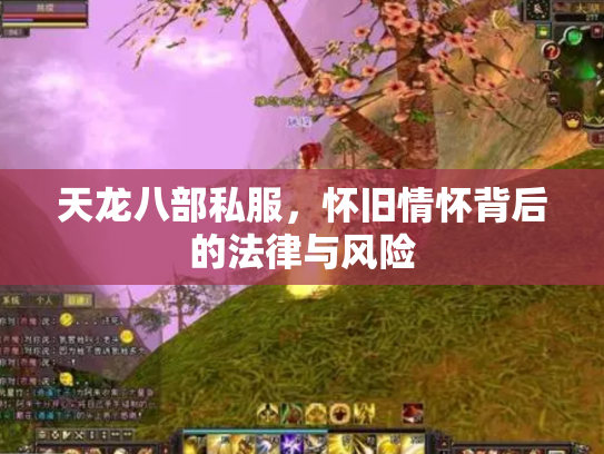 天龙八部私服，怀旧情怀背后的法律与风险