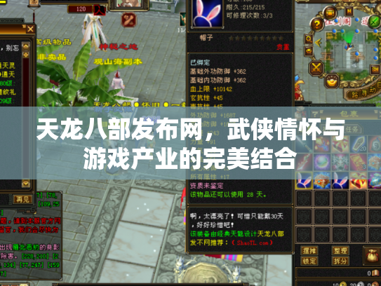 天龙八部发布网，武侠情怀与游戏产业的完美结合