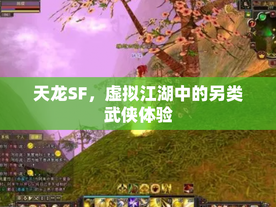 天龙SF，虚拟江湖中的另类武侠体验