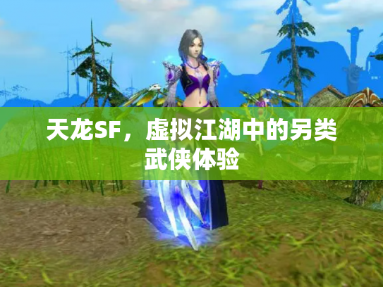 天龙SF，虚拟江湖中的另类武侠体验