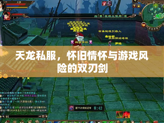 天龙私服，怀旧情怀与游戏风险的双刃剑